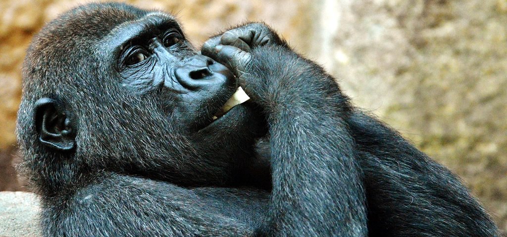 Article by Paul - Communicate Deliberately